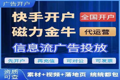 某企业通过百度SEM实现ROI最大化的案例